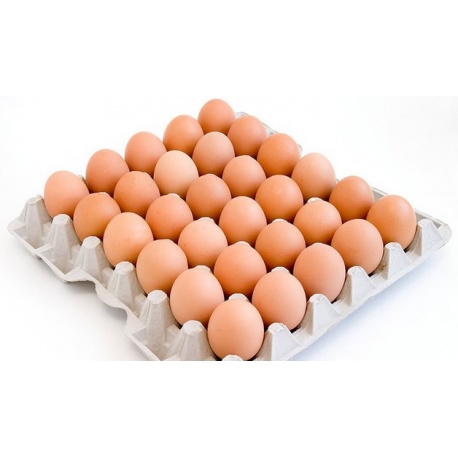 Eggs medium size tray