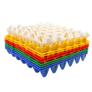 Plastic Empty Egg tray