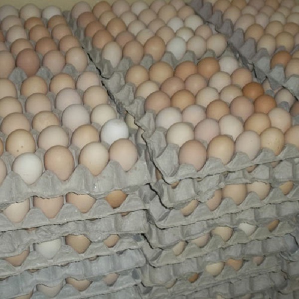 Kienyeji Eggs Tray